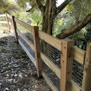 Cypress Pine F7 125x125