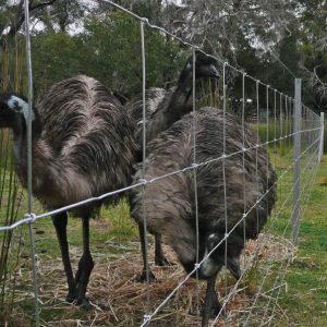 Southern Wire Farm Fence 8-90-15 x 100m