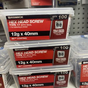 Bremick Hex Head Screw (Timber Screw Tip) B8 coating
