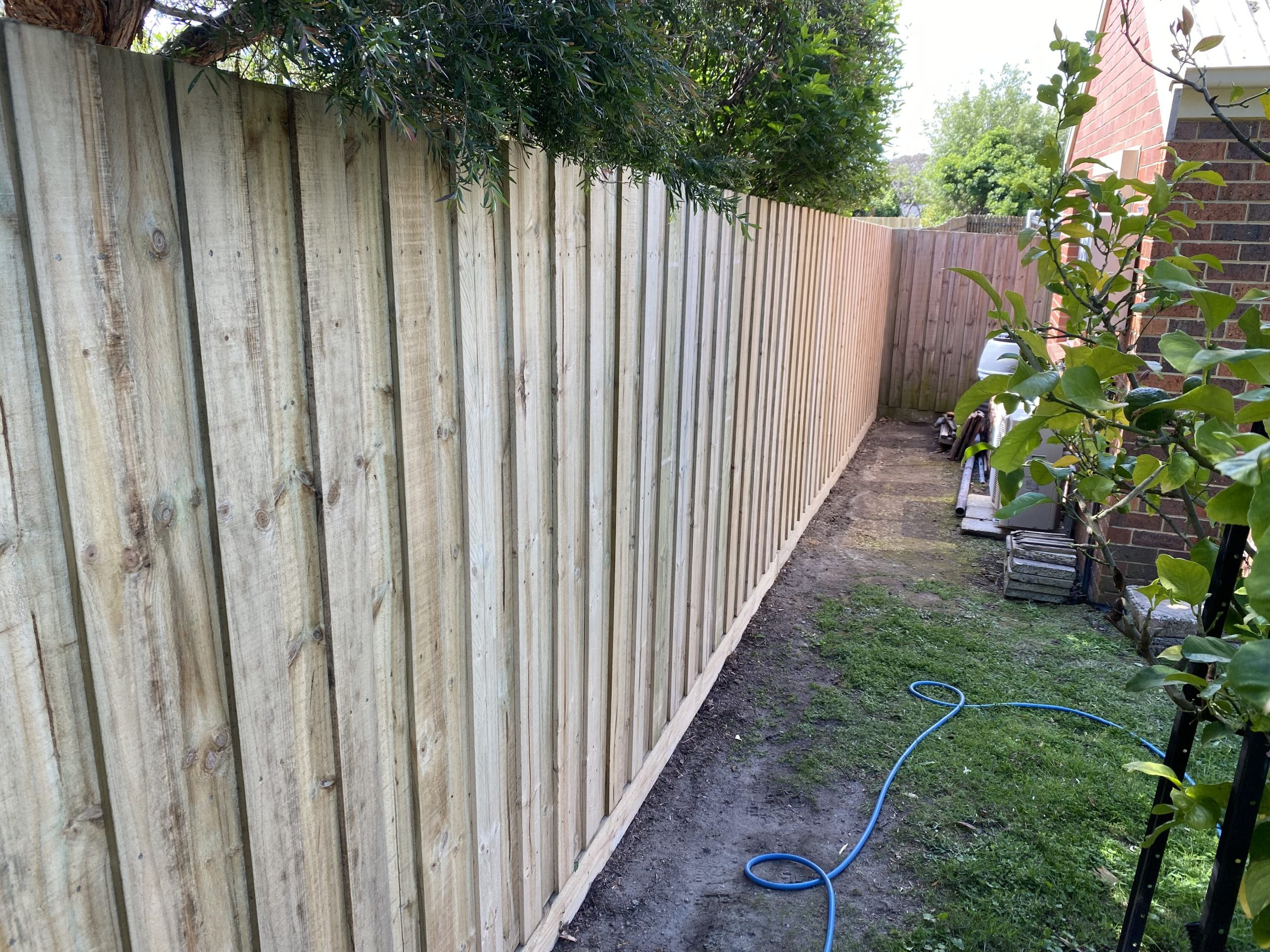 Paling Fence Package 1.95m